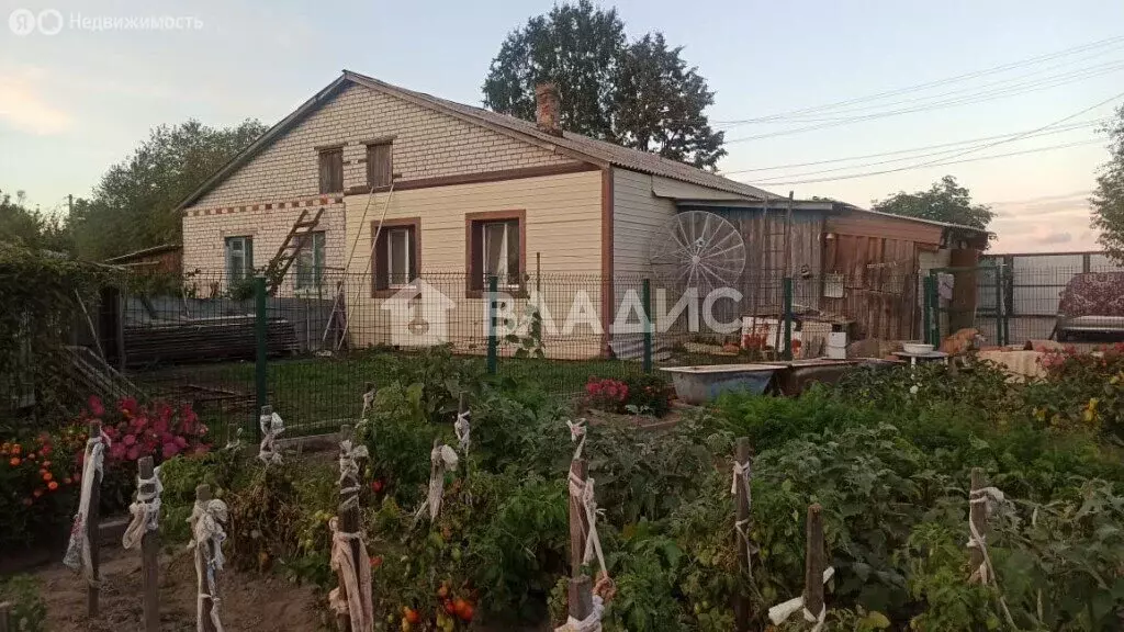 Дом в Амурская область, Благовещенский муниципальный округ, село ... - Фото 0