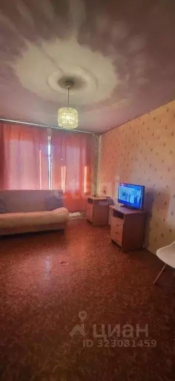 1-к кв. Новосибирская область, Новосибирск ул. Петухова, 144 (30.0 м) - Фото 1