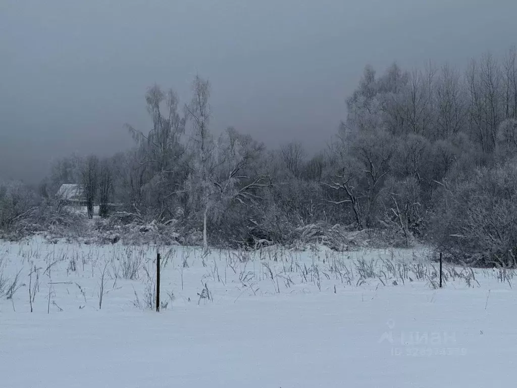 Участок в Московская область, Солнечногорск городской округ, д. ... - Фото 2