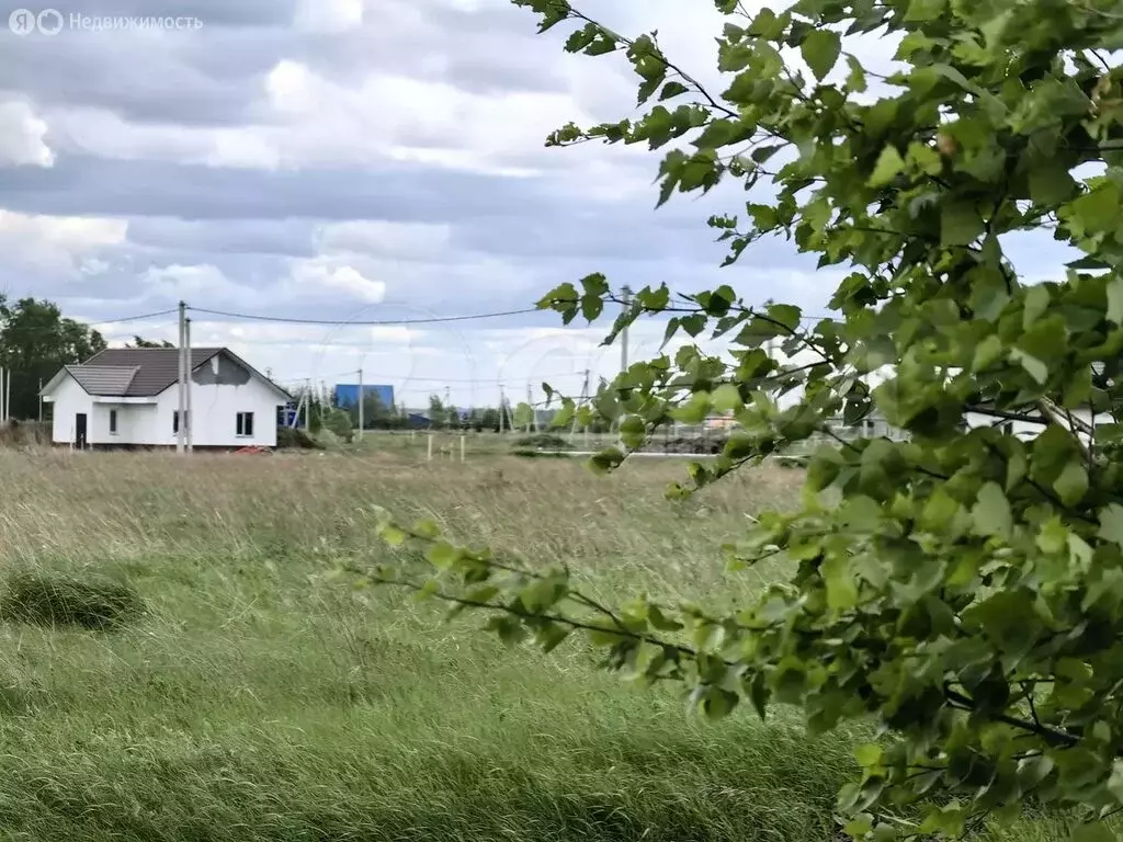 Участок в Курганская область, Кетовский муниципальный округ, ... - Фото 0