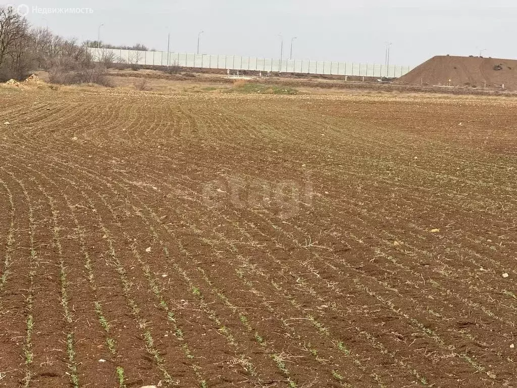 Участок в Сакский район, село Суворовское (6 м) - Фото 1