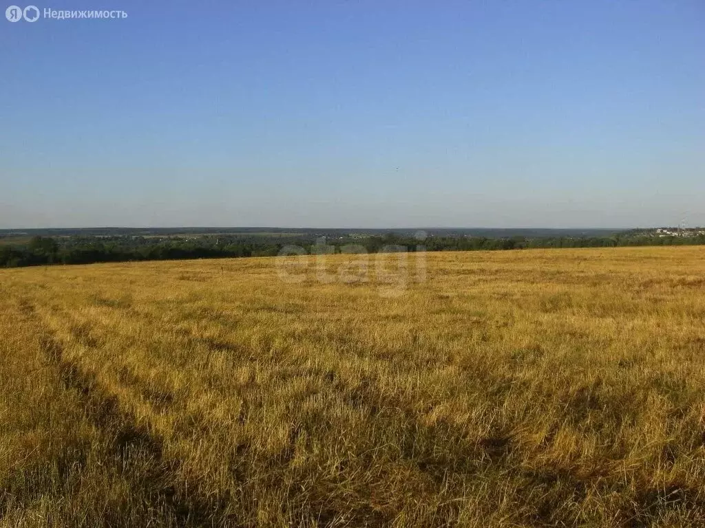 Участок в Ярославская область, Тутаевский муниципальный округ, посёлок ... - Фото 2