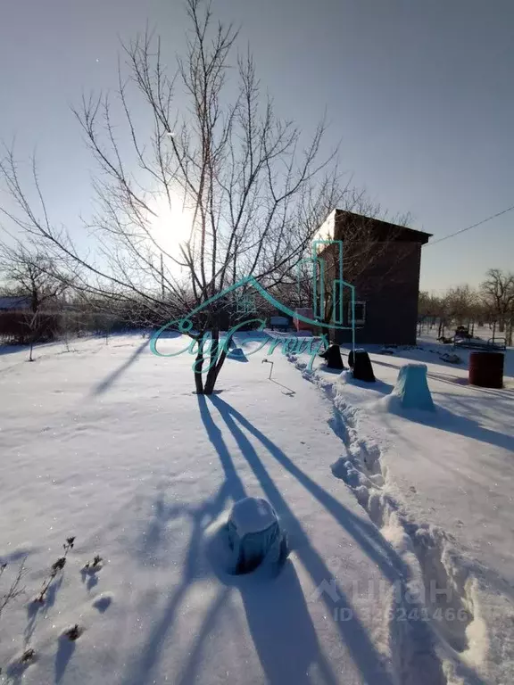 Дом в Оренбургская область, Орск ЮУМЗ-1 СНТ, 66 (48 м) - Фото 2