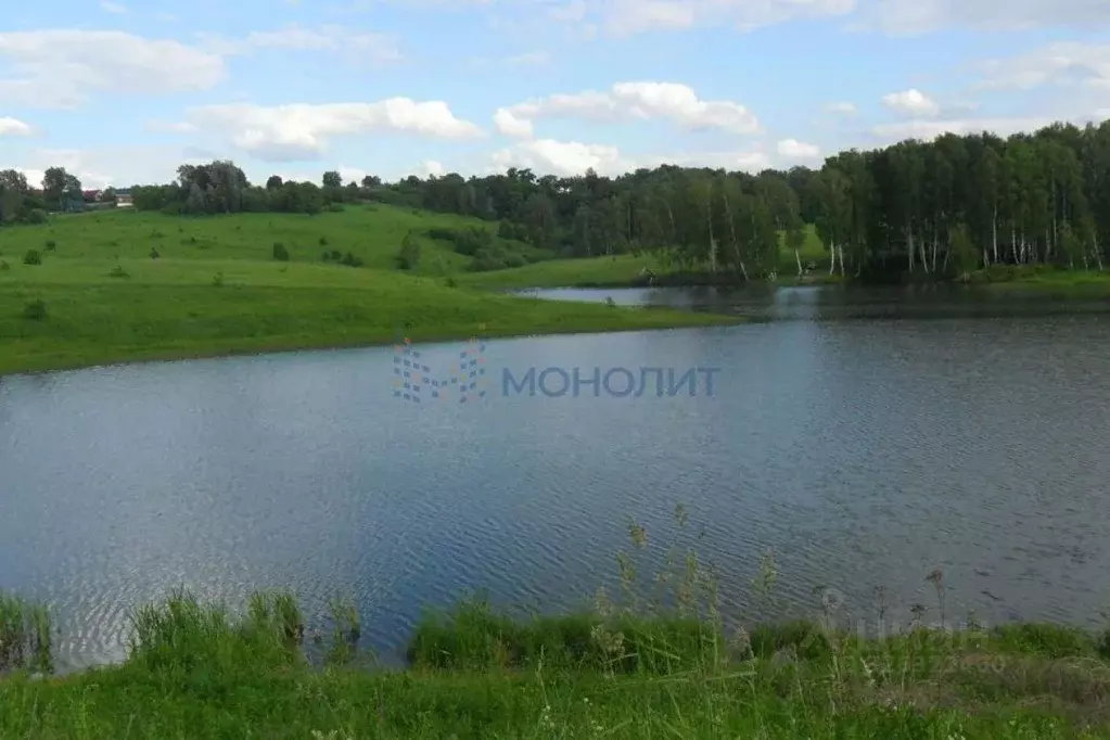Участок в Нижегородская область, Богородский муниципальный округ, д. ... - Фото 1