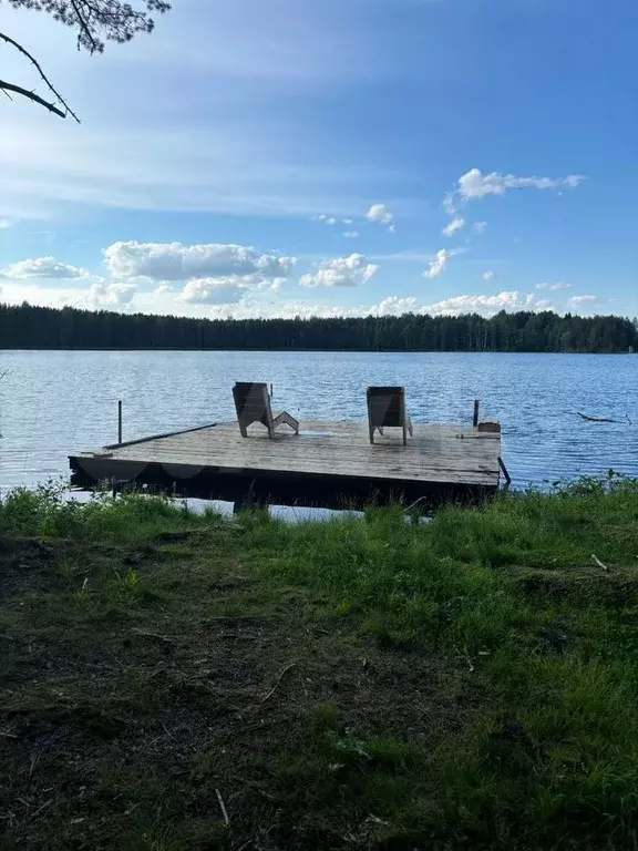 Дом 36 м на участке 20 сот. - Фото 0