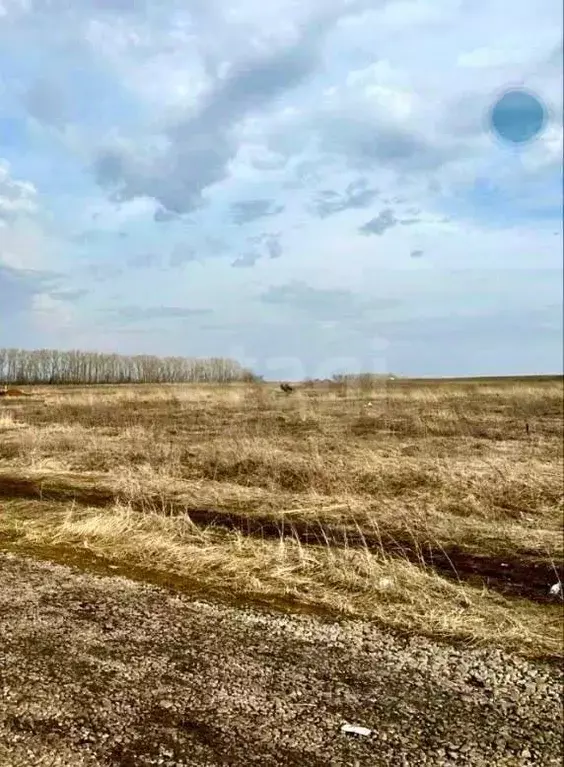 Участок в Мордовия, Саранск городской округ, пос. Пушкино  (15.0 сот.) - Фото 1