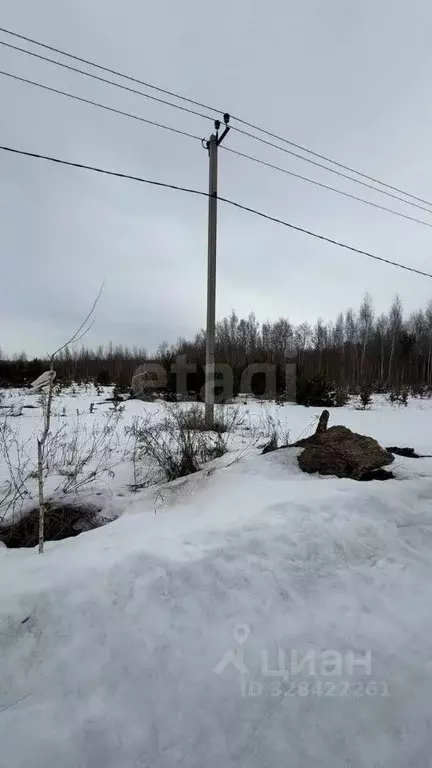 Участок в Липецкая область, Липецк Радужный кп, ул. Плодородная (9.6 ... - Фото 1