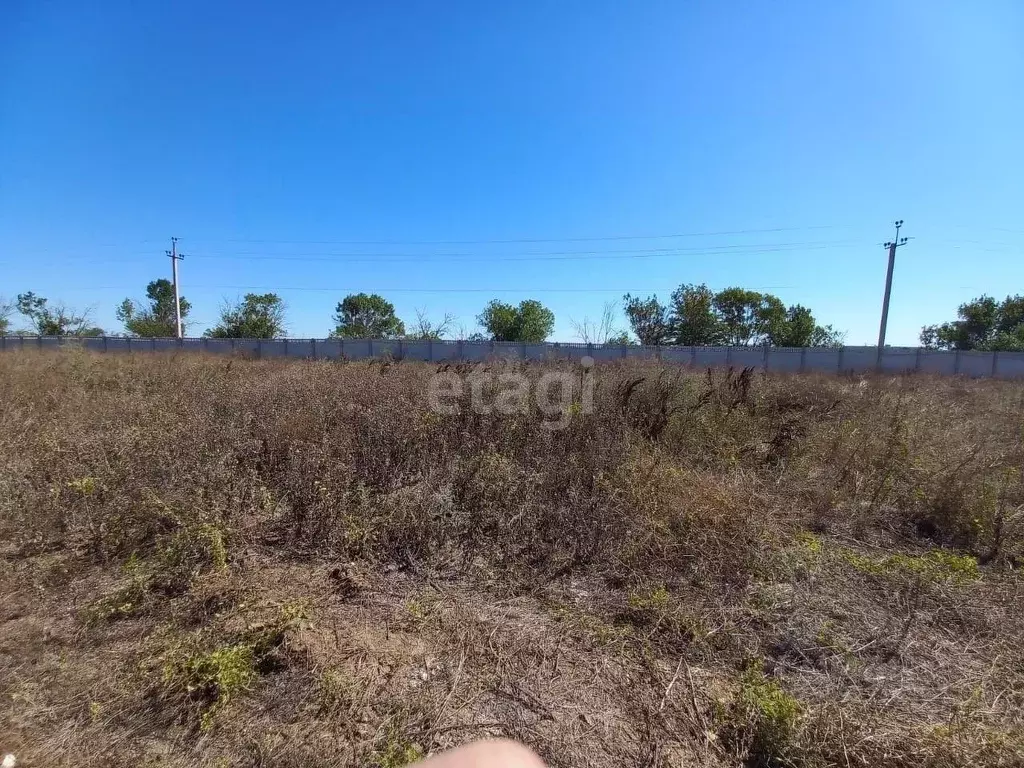 Участок в Крым, Сакский район, Молочненское с/пос, Мирамар кп ул. ... - Фото 0