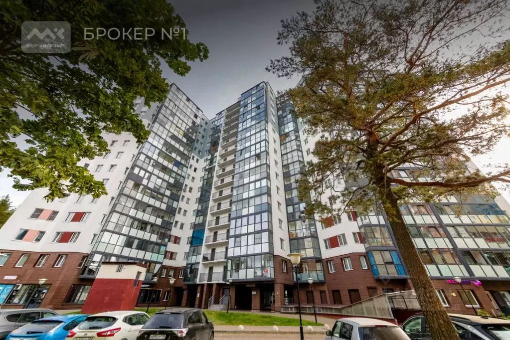 Помещение свободного назначения в Ленинградская область, Сертолово ... - Фото 2