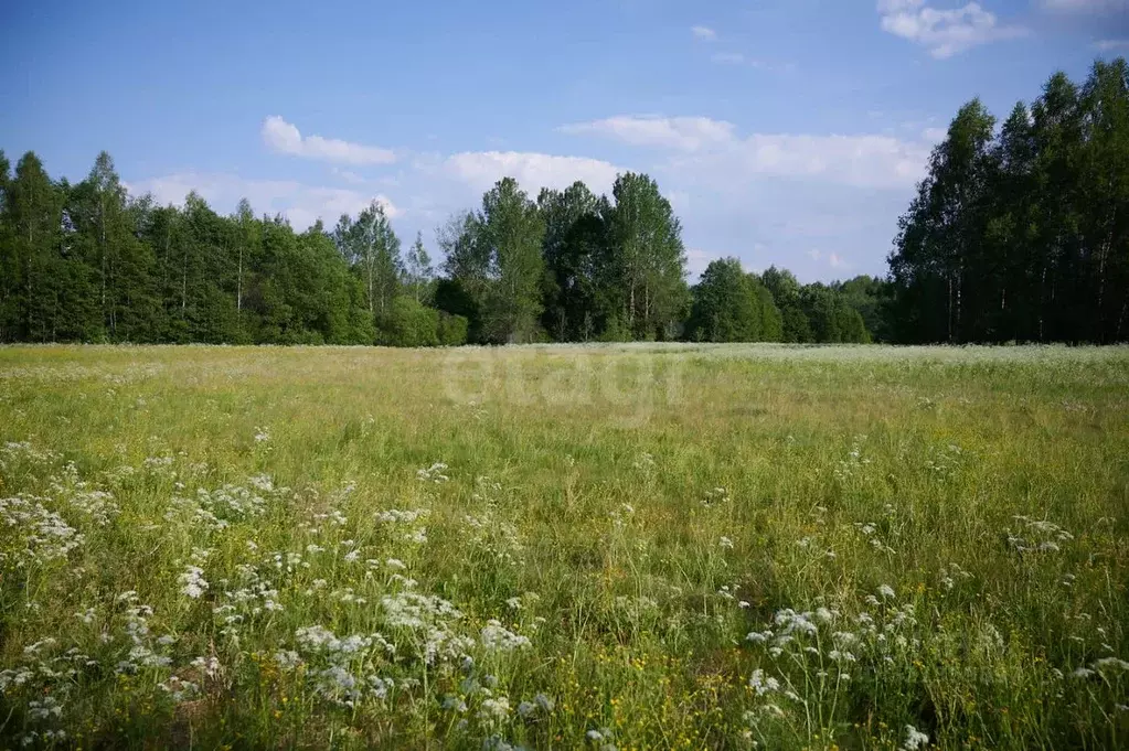 Участок в Псковская область, Опочецкий муниципальный округ, д. ... - Фото 2