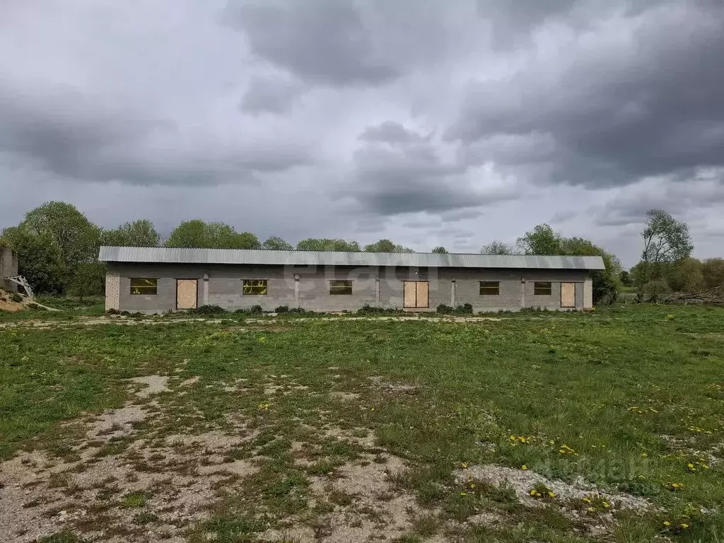 Склад в Калужская область, пос. Бабынино ул. Кооперативная (1000 м) - Фото 1