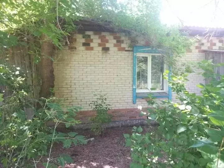 Помещение свободного назначения в Курганская область, Петуховский ... - Фото 1