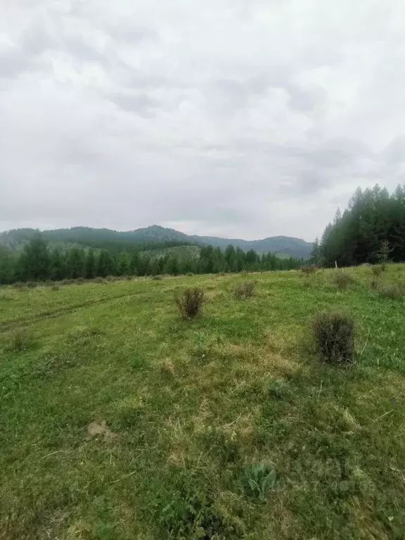 Участок в Алтай, Усть-Канский район, с. Усть-Кан Ленинская ул. (15.1 ... - Фото 1