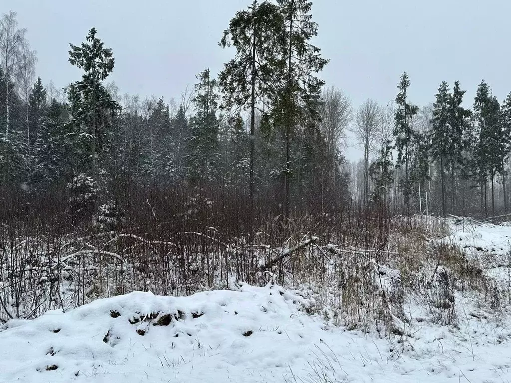 Участок в Московская область, Пушкинский городской округ, д. Могильцы  ... - Фото 0