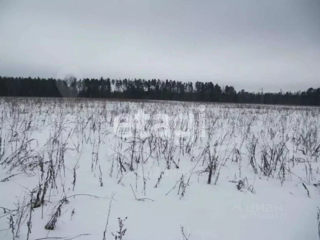 Участок в Амурская область, Благовещенск  (10.0 сот.) - Фото 1