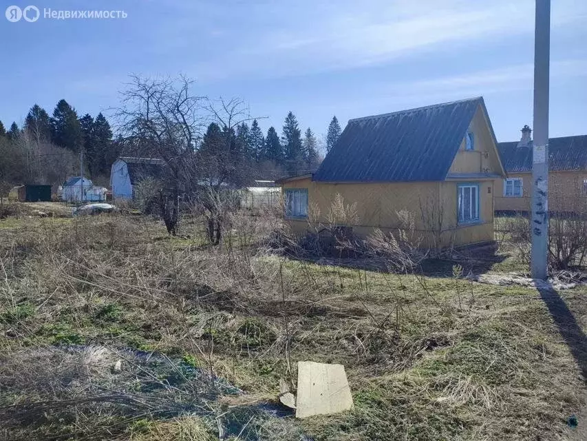 Участок в Ленинградская область, Волосовское городское поселение, ... - Фото 1