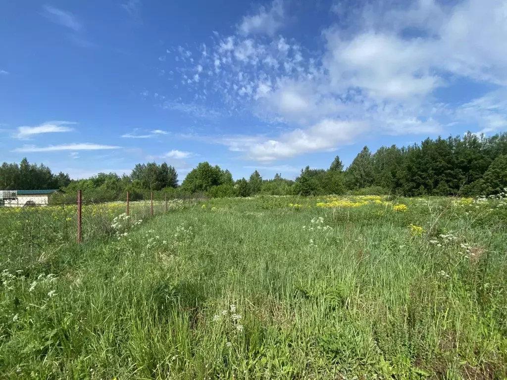 Участок в Ярославская область, Переславль-Залесский муниципальный ... - Фото 0