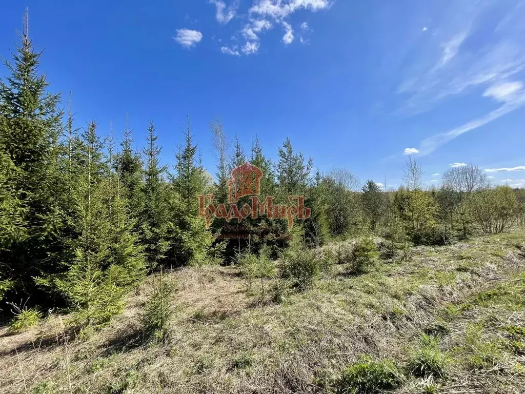 Участок в Владимирская область, Александровский муниципальный округ, ... - Фото 1