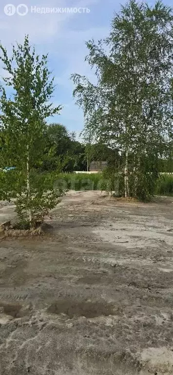 Участок в Тюмень, садовое товарищество Поле Чудес, Пшеничный переулок ... - Фото 0