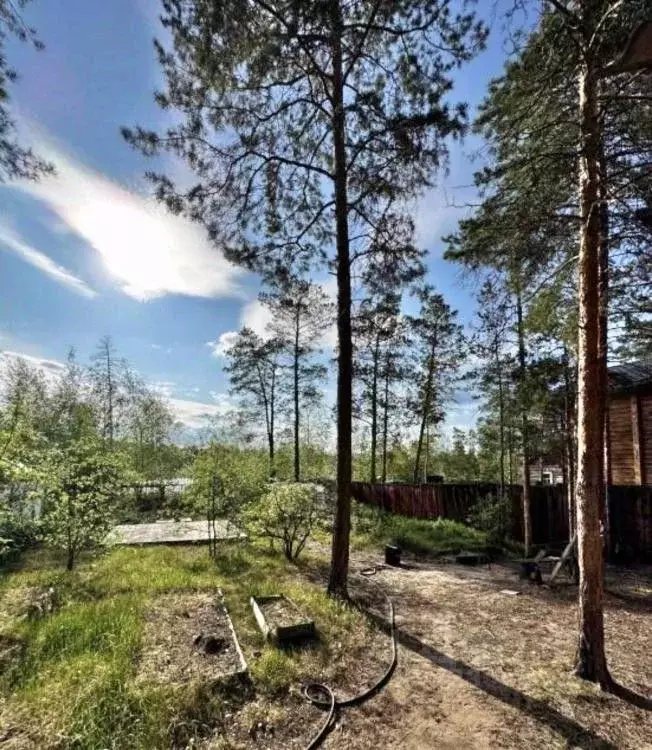 Участок в Саха (Якутия), Якутск Сергеляхское ш. (14.5 сот.) - Фото 2