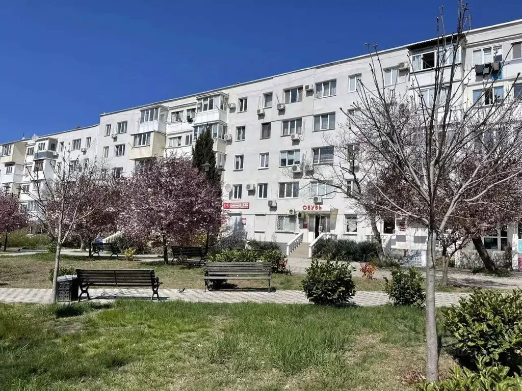 Студия Севастополь просп. Октябрьской Революции, 43 (47.2 м) - Фото 1