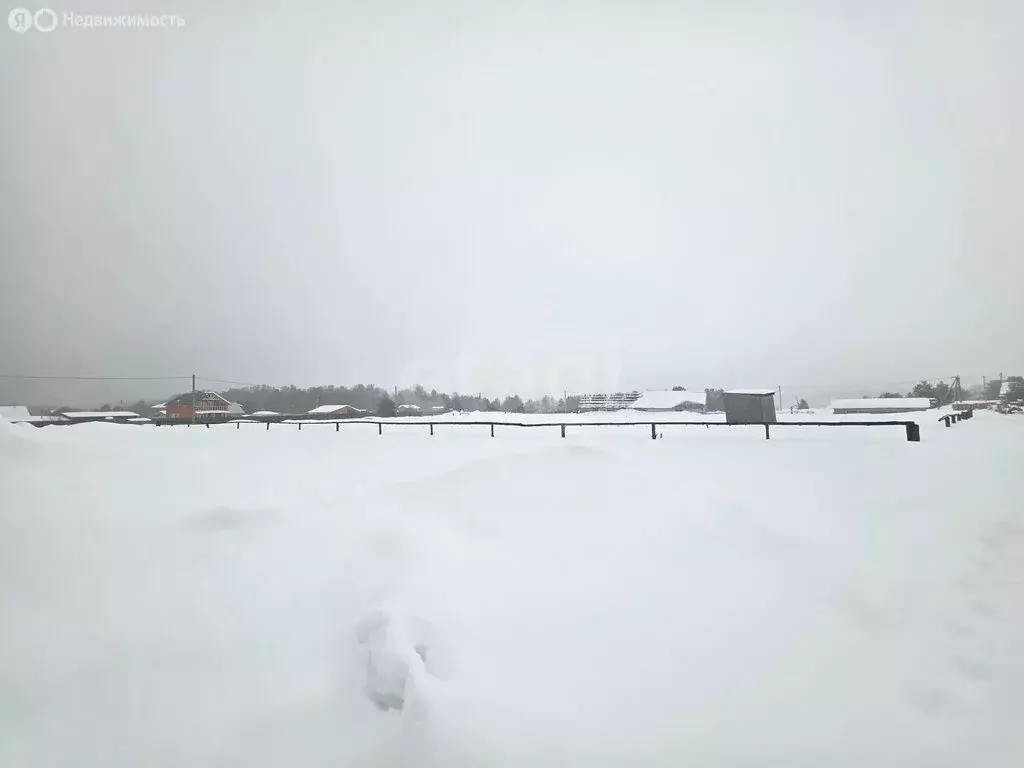 Участок в Владимирская область, Петушинский муниципальный округ, ... - Фото 1