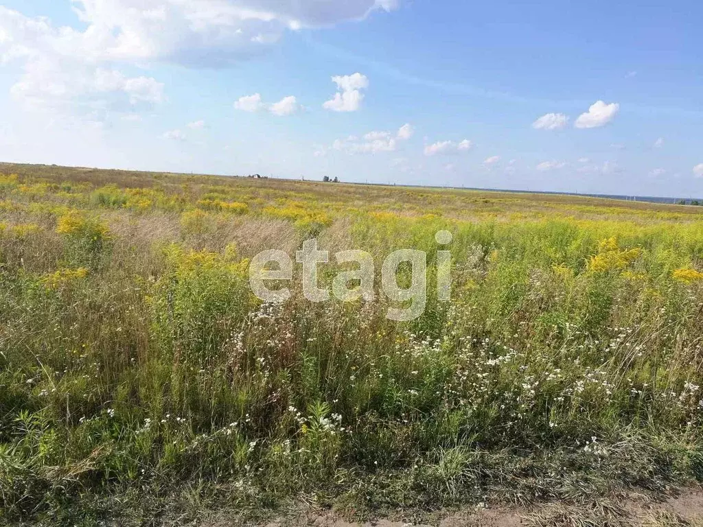 Участок в Брянская область, Брянский район, Отрадненское с/пос, с. ... - Фото 2