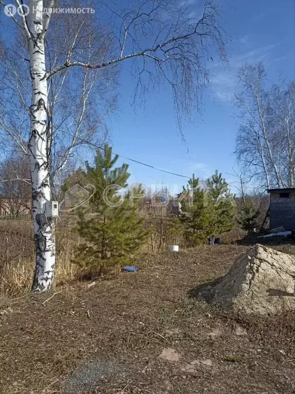 Дом в Тюменская область, Нижнетавдинский муниципальный округ, садовое ... - Фото 2