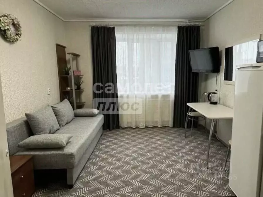Комната Пермский край, Пермь ул. Пушкина, 110 (13.0 м) - Фото 2