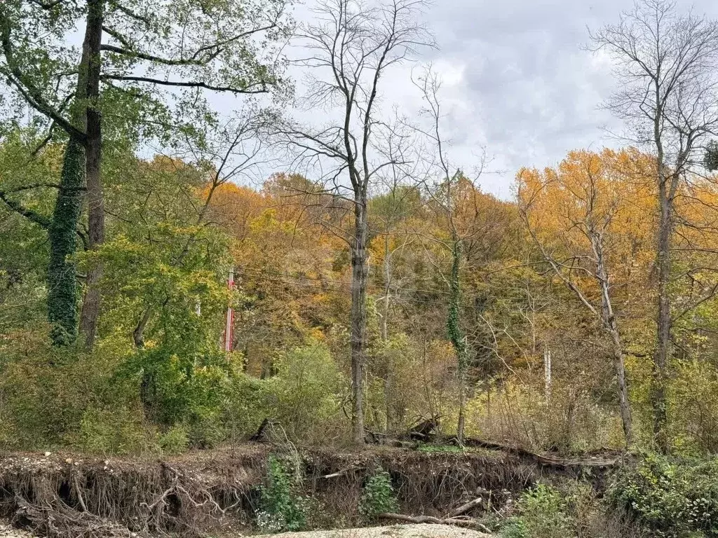 Участок в Краснодарский край, Геленджик городской округ, с. Адербиевка ... - Фото 2