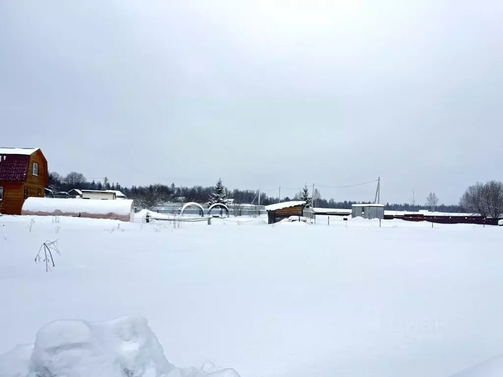 Участок в Московская область, Пушкинский городской округ, д. ... - Фото 0