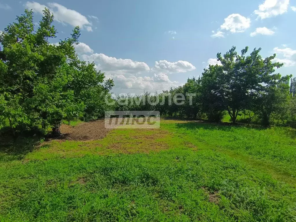 Участок в Краснодарский край, Динская ст-ца ул. Суворова (17.0 сот.) - Фото 2