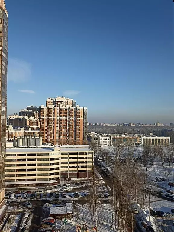 2-к кв. Санкт-Петербург ул. Есенина, 1к1 (64.0 м) - Фото 1