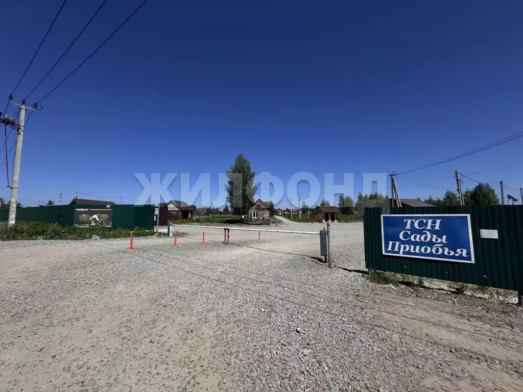 Участок в Новосибирская область, Новосибирский район, Кубовинский ... - Фото 1