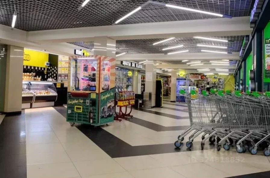 Офис в Санкт-Петербург просп. Косыгина, 30К1 (7013 м) - Фото 0