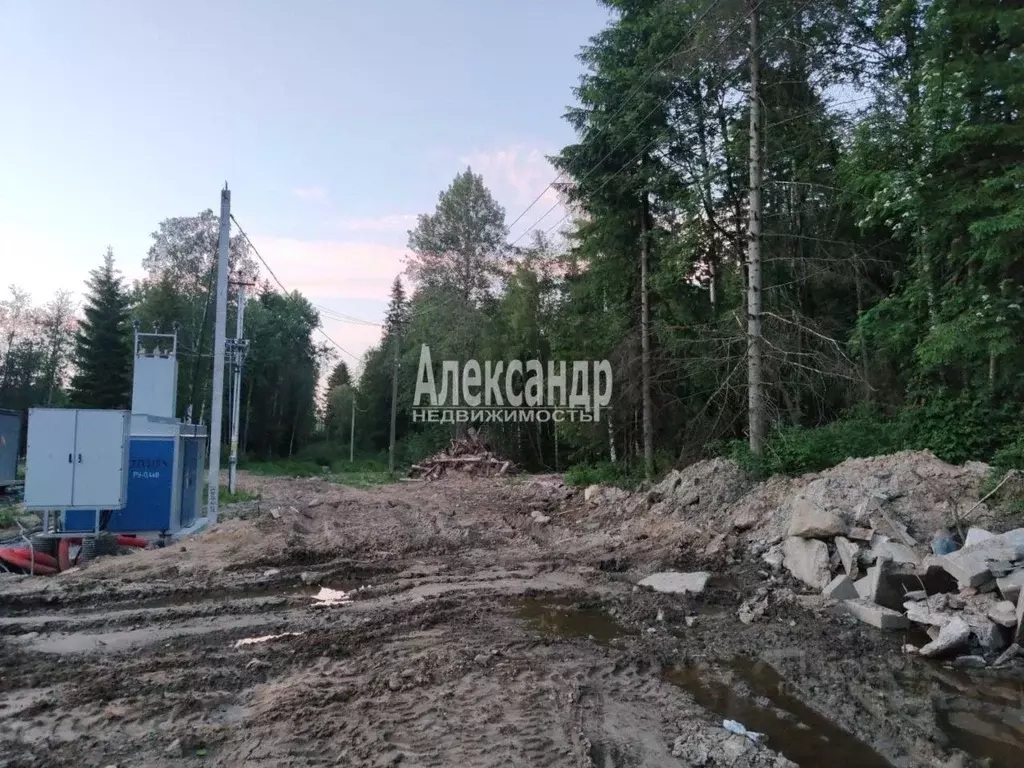 Участок в Ленинградская область, Всеволожский район, Агалатовское ... - Фото 0