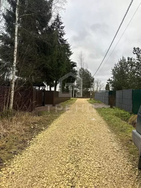 Участок в Ленинградская область, Гатчинский муниципальный округ, Тайцы ... - Фото 2