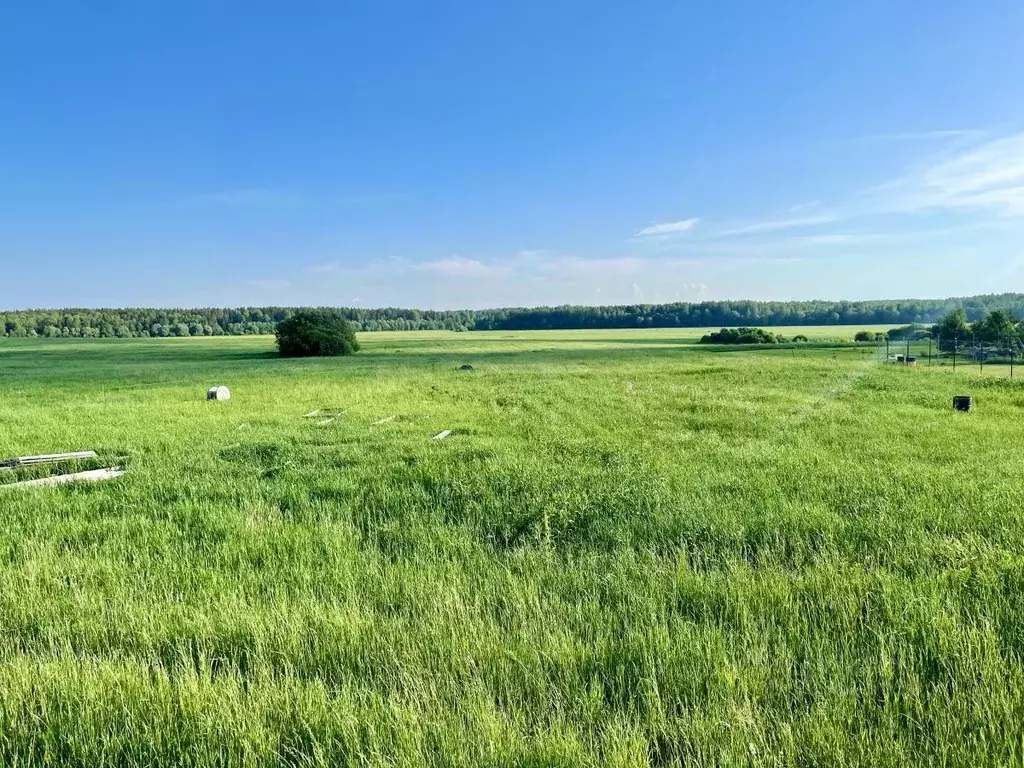 Участок в Ленинградская область, Тосненский район, Форносовское ... - Фото 1