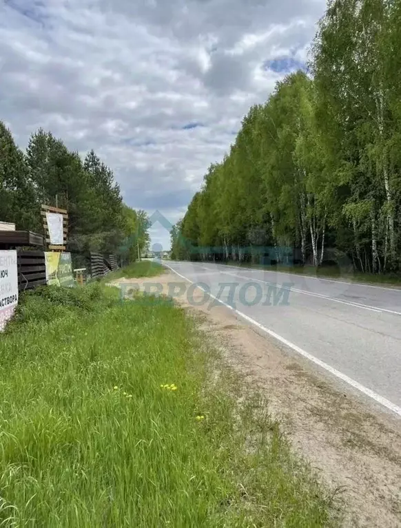 Участок в Новосибирская область, Искитимский район, пос. Степной ... - Фото 1