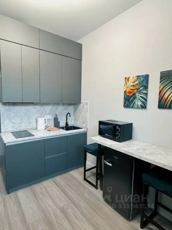 Студия Москва Электрозаводская ул., 14С3 (17.0 м) - Фото 1
