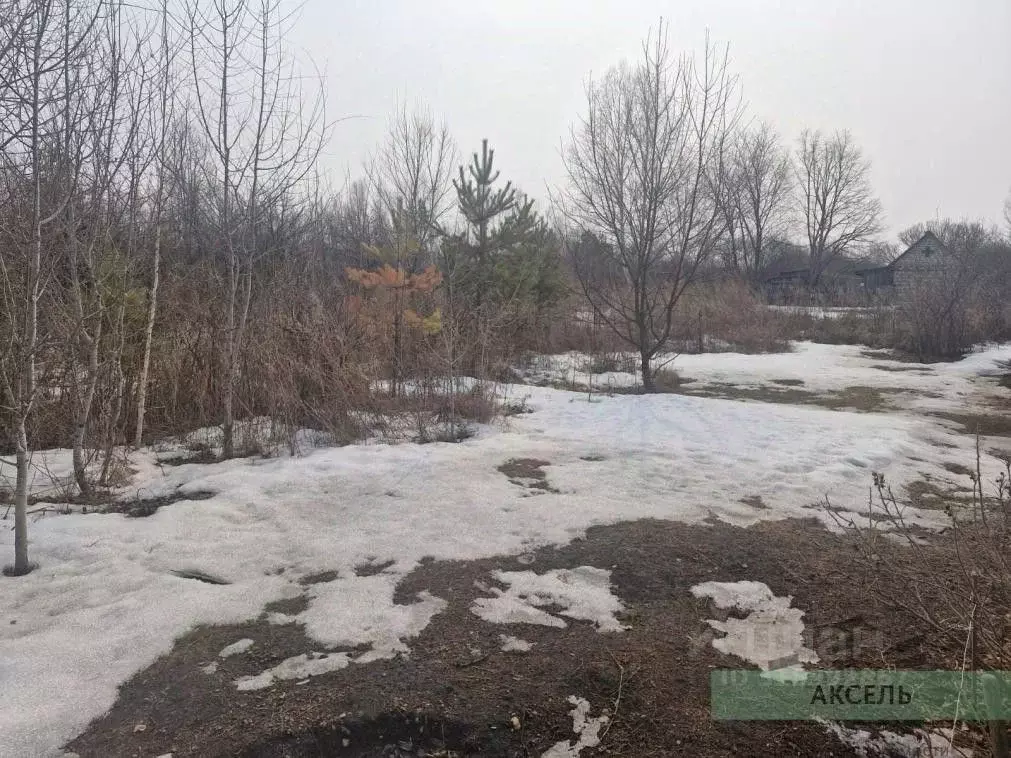 Участок в Амурская область, Благовещенский район, с. Чигири  (8.0 ... - Фото 1