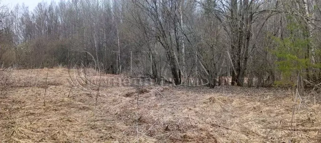 Участок в Ленинградская область, Лодейнопольское городское поселение, ... - Фото 1