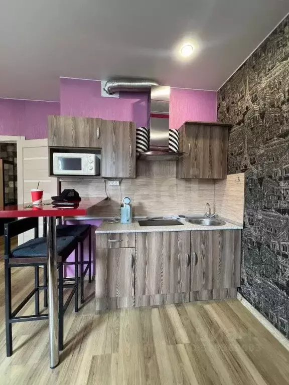 Студия Санкт-Петербург Пражская ул., 9К1 (25.0 м) - Фото 1