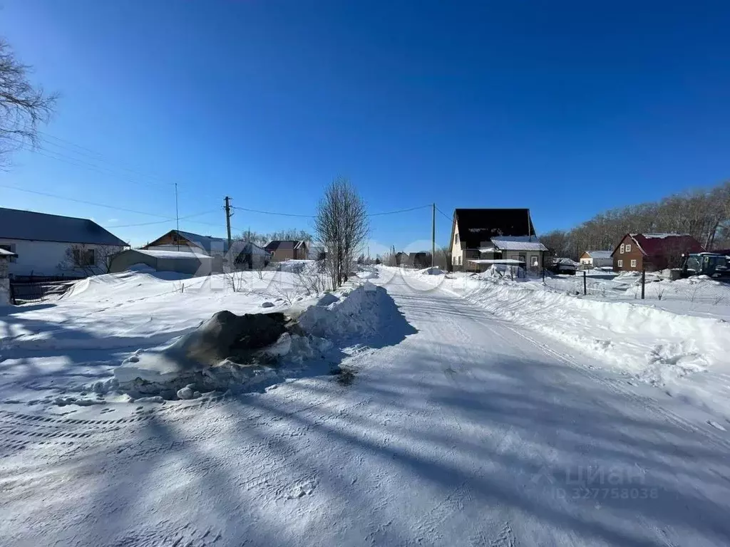 3-к кв. Новосибирская область, Мошковский район, с. Сокур ул. ... - Фото 2