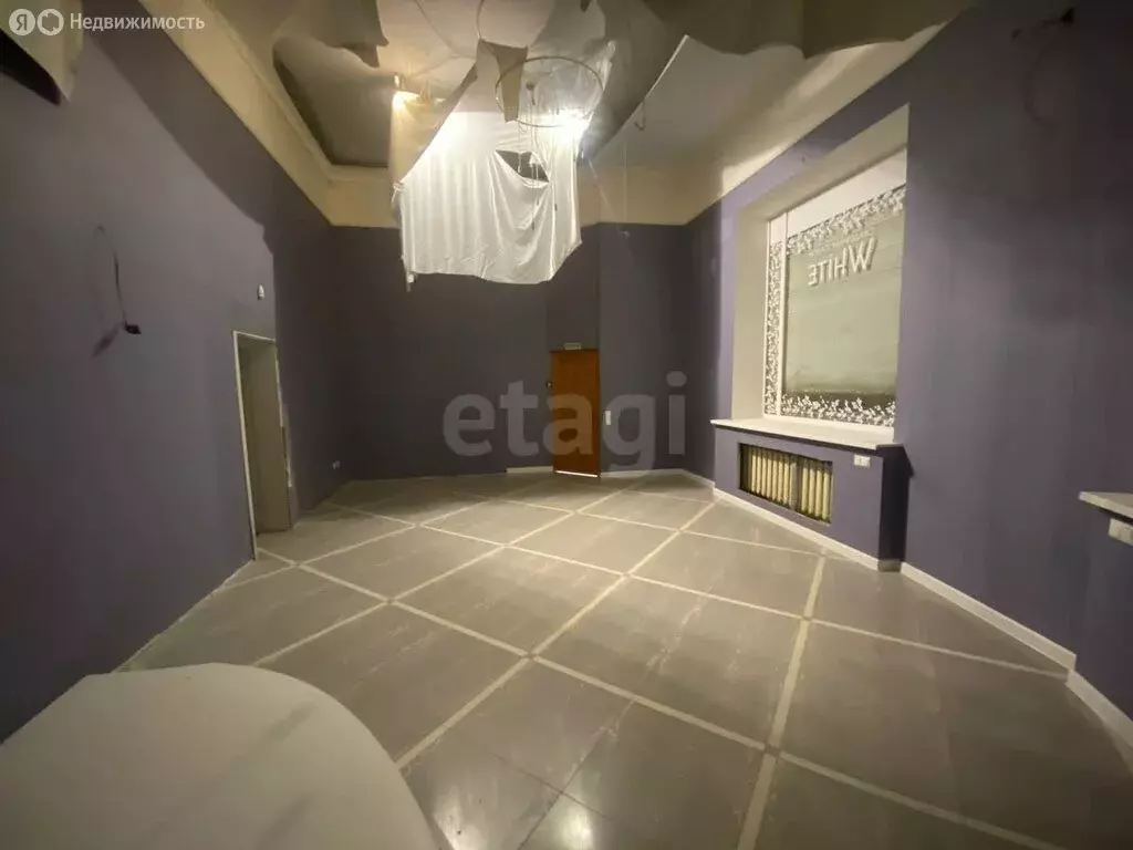 Помещение свободного назначения (57.5 м) - Фото 2