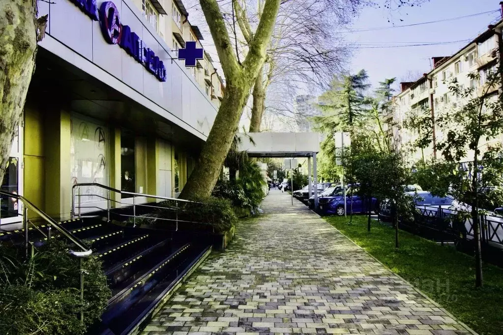 Помещение свободного назначения в Краснодарский край, Сочи Центральный ... - Фото 1