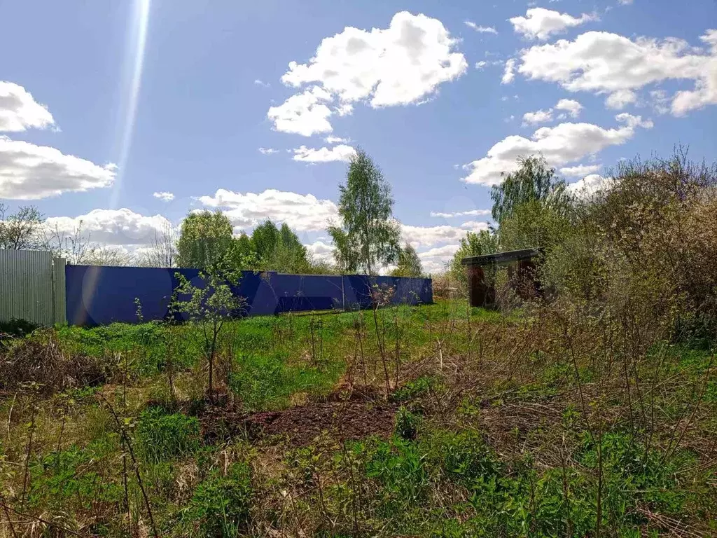 Земля 295. Лиландра марвел. Земля 295. Оранжевый халк. Земля 295.