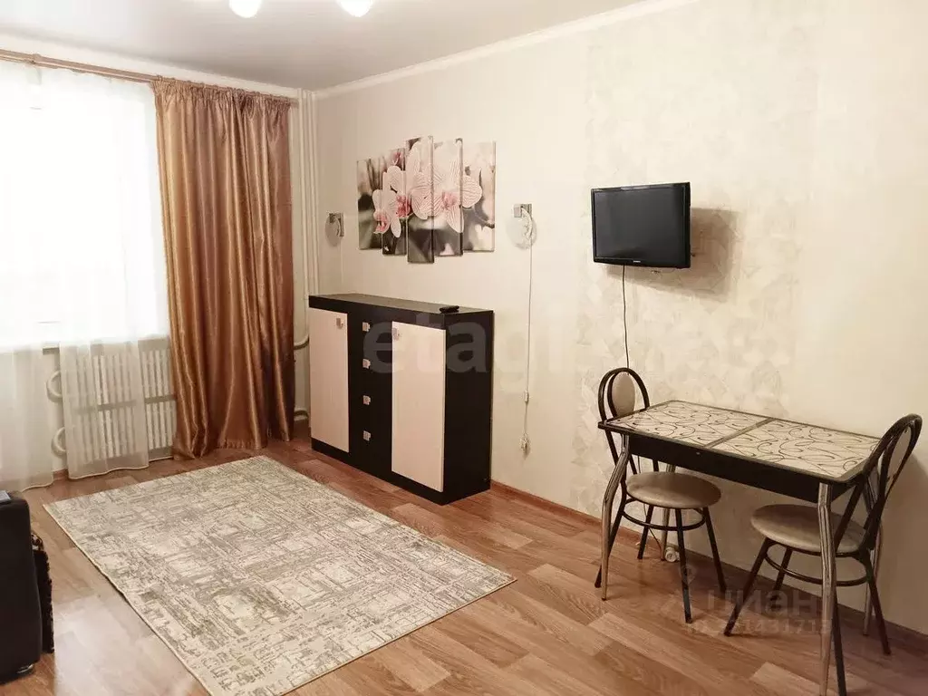 Студия Воронежская область, Воронеж ул. Ломоносова, 114/20 (25.0 м) - Фото 2