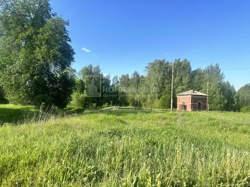 Участок в Владимирская область, Судогодский район, Андреевское ... - Фото 0