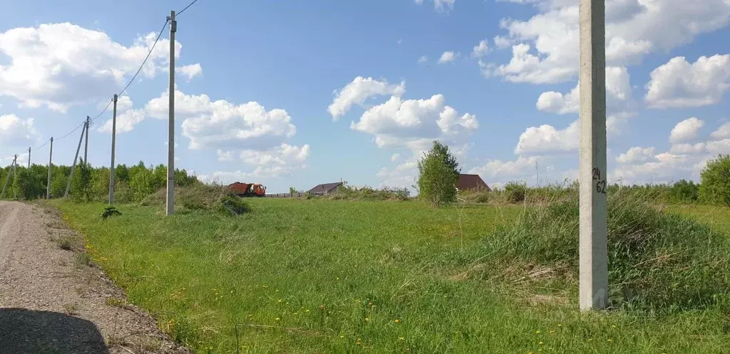 Участок в Кемеровская область, Кемеровский район, с. Андреевка  (7.0 ... - Фото 1